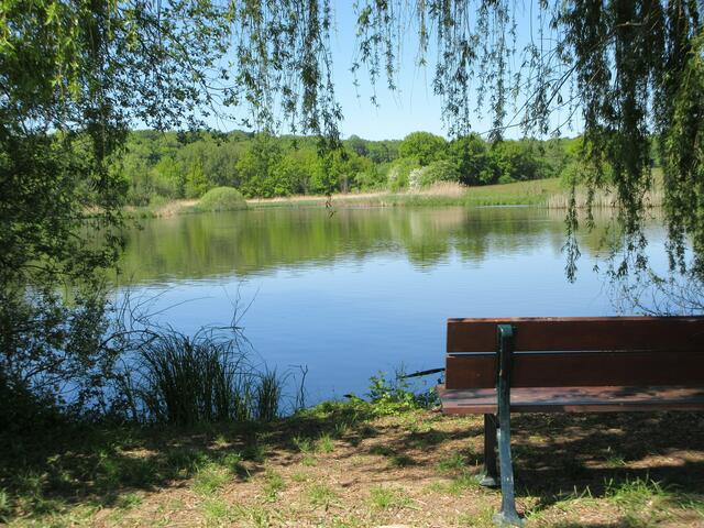 Naturschutzgebiet Im See Stadtteil Neunstetten