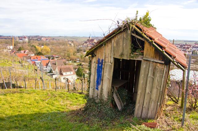 Wengerthäusle in Lauffen