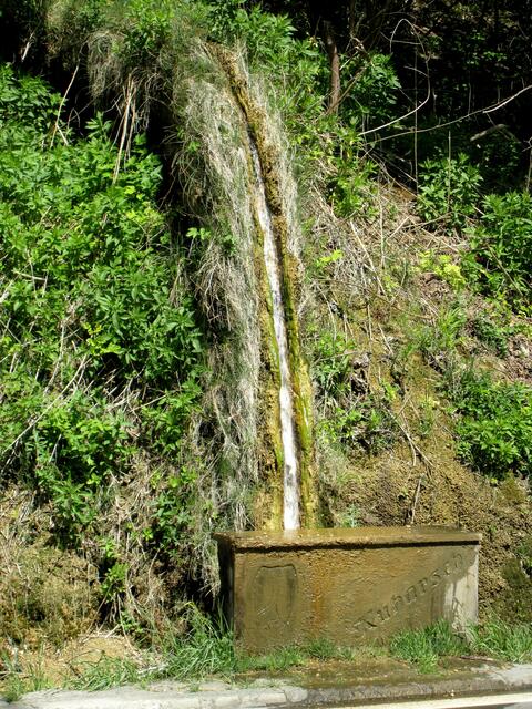 Kalkrinne im Frühling, Kuharsch genannt