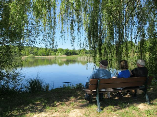 Auf der Bank den Seeblick in Neunstetten genießen