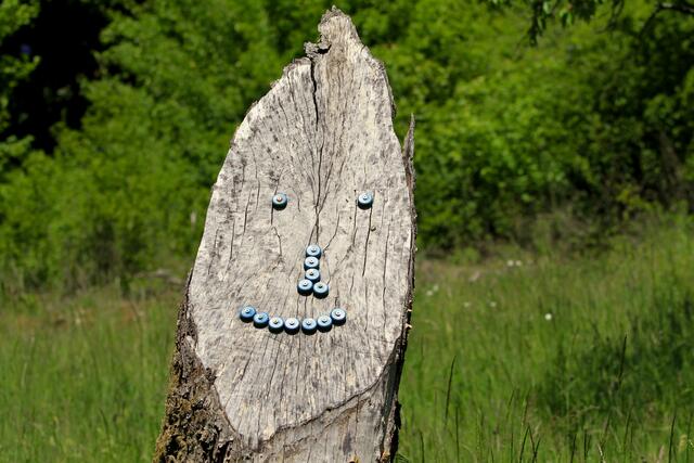Gesicht am Stamm