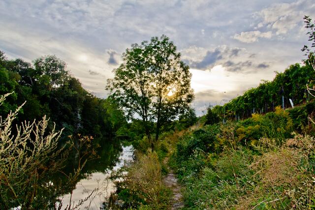Wilder Fluss