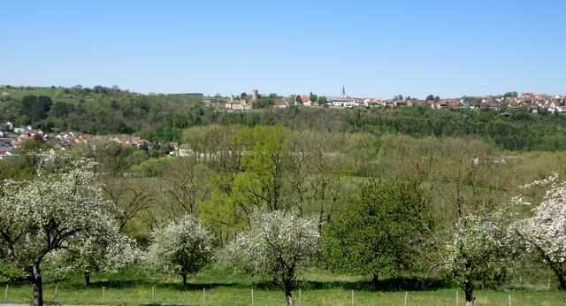Streuobstwiesen in Krautheim