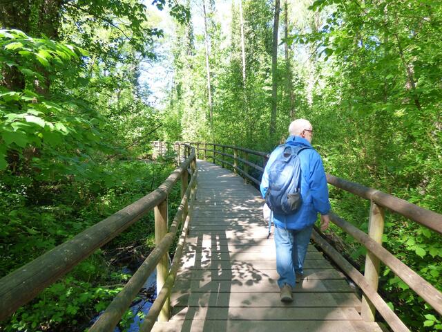 Viele Brückchen queren den Köpferbach auf seinem Weg durch das Tal.