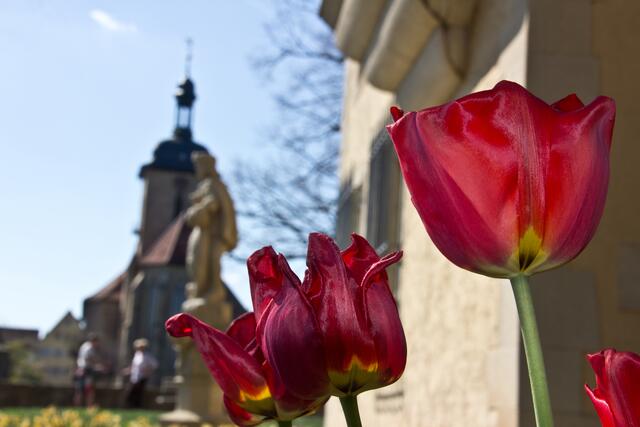 Tuplen 2020 im Blick aus Rathaus