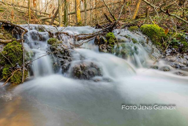Natur Pur- Zimmerbach Gommersdorf