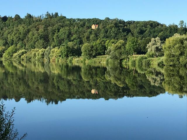 Offenau mit Spiegelwald