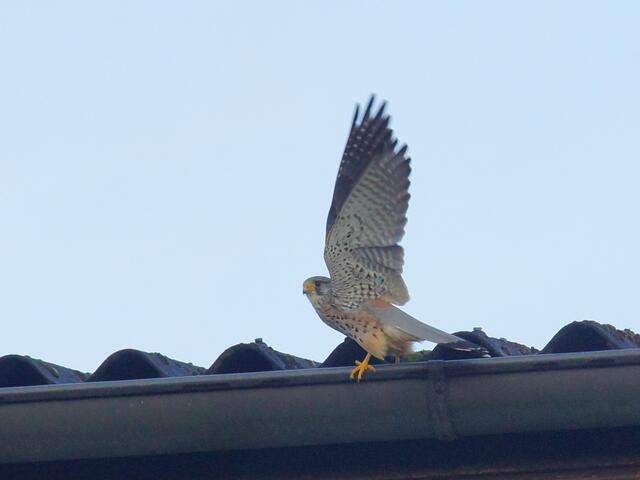 Wirklich ein Schnappschuss