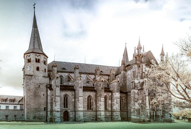 Kloster Wimpfen im Tal