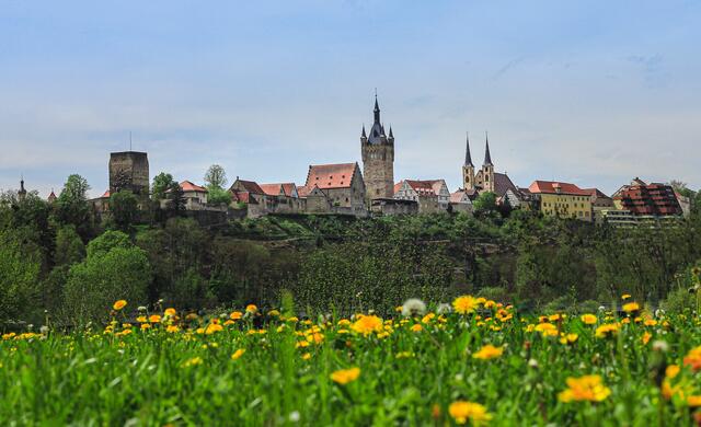 Bad Wimpfen im Frühling