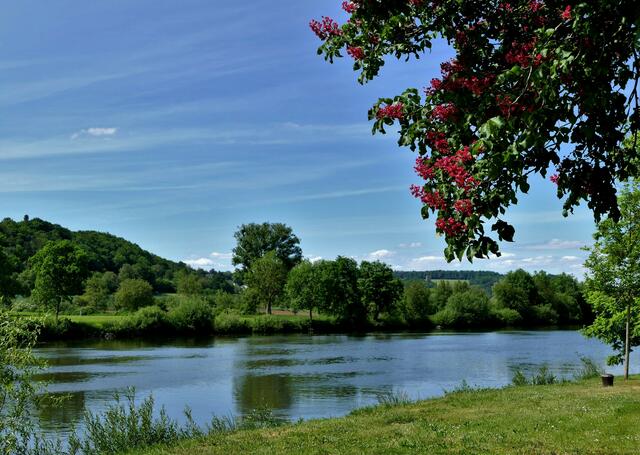Am Neckar