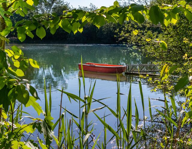Idylle am Seeloch in Lauffen