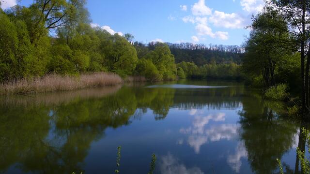 Neckarschlinge