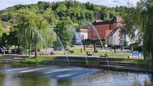 Schloss Bartenau in Künzelsau