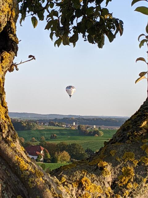 hoch über dem Kraichgau