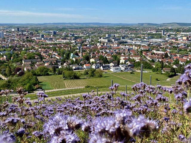Heilbronn liegt dem Wartberg zu Füßen