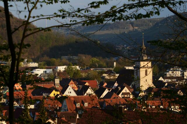 Blick vom Wartberg