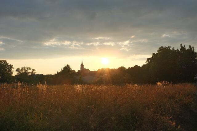 Schozachaue
