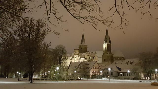 Winternacht am Hofgarten