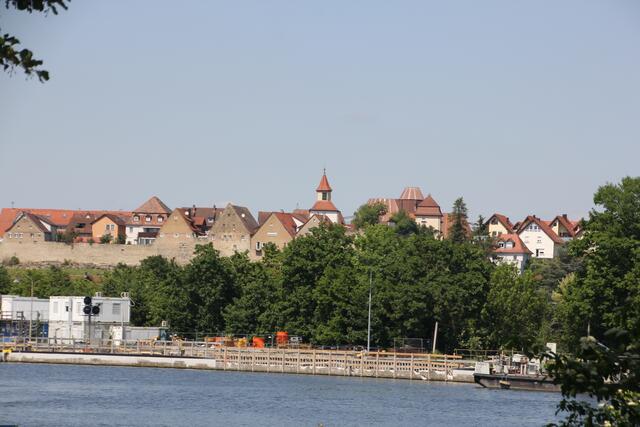 Alte Stadtmauer mit Neckarblick