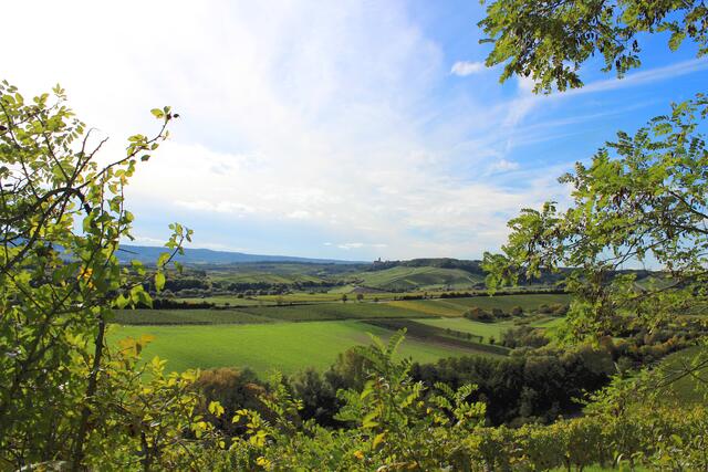 Blick auf unser schönes Zabergäu