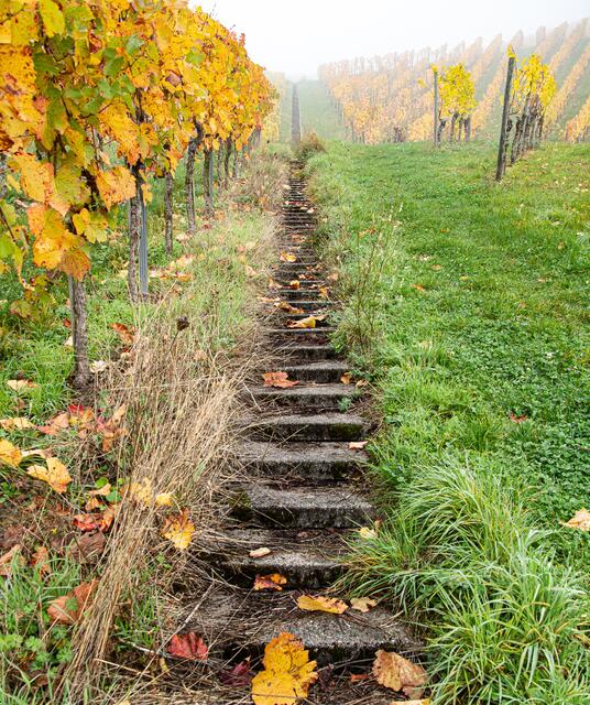 Treppe bis in den Himmel