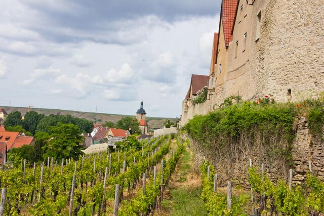 Weinstadt Lauffen