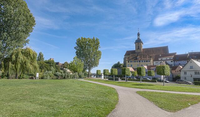 Blick auf Burg und Kirche..
