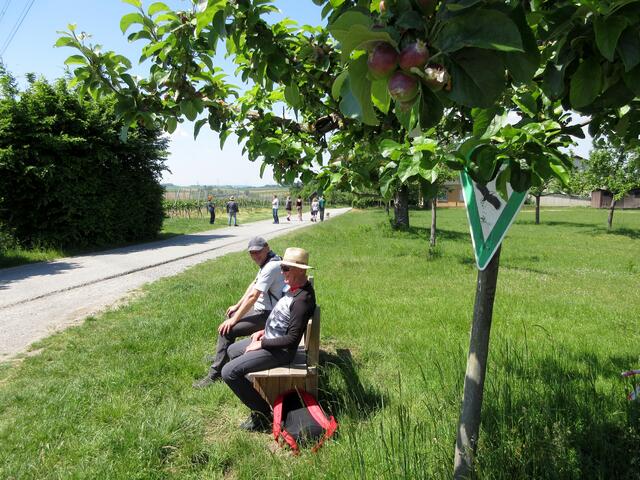 Und wieder Streuobstwiesen. Endlich eine Gelegenheit und Bank mit Lehne. Gevespert hatten wir auf einer Weinbergmauer. Leider gibt es auf der Strecke keine schönen Rastplätze.