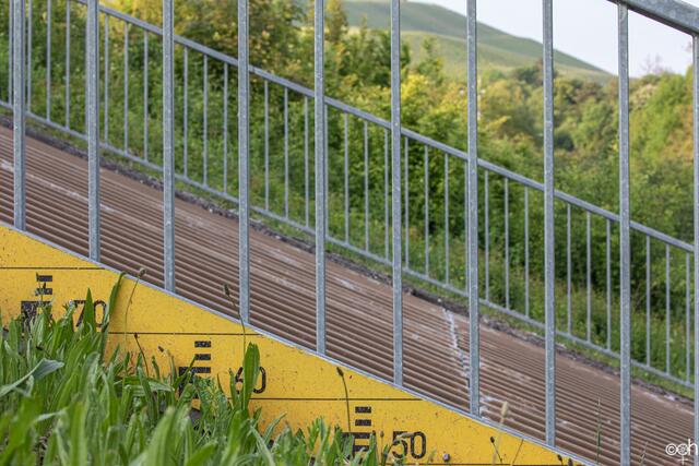 Froschperspektive - auf den Scheuerberg (Ute)