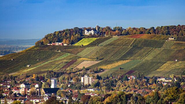 Der Wartberg in der Abendsonne