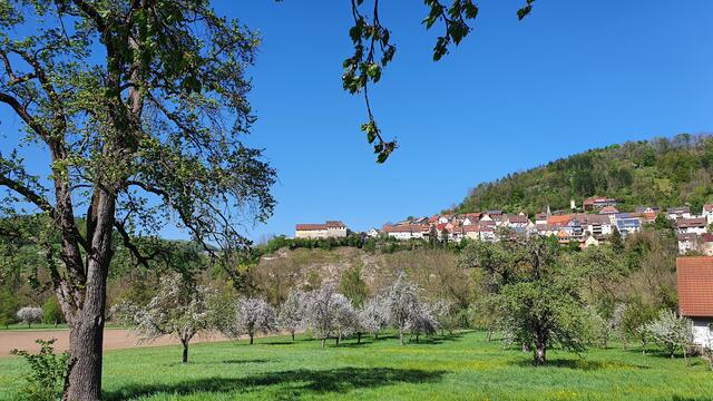 Blick vom Scheurachshof auf Nagelsberg, das auf einer Bergnase tront