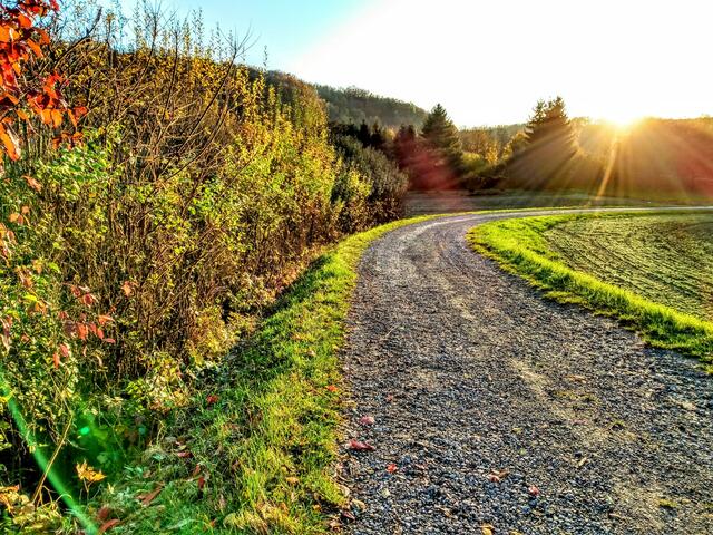 unterhalb Orchideenweg