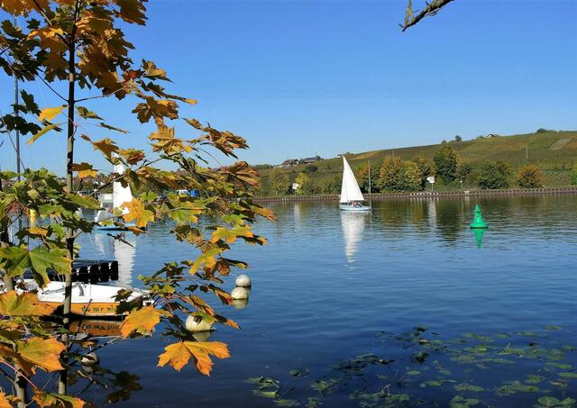 Boote im Neckar