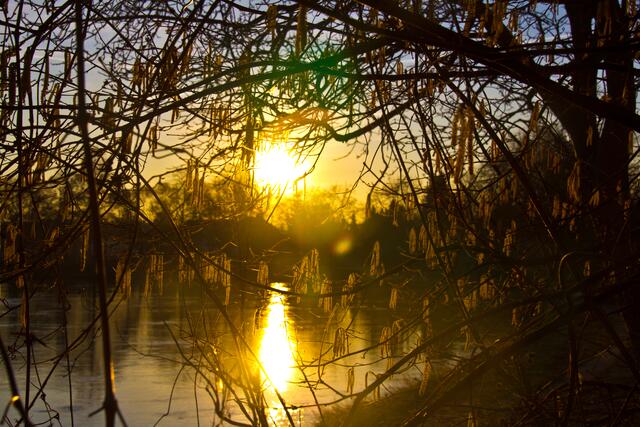 Winterabend am Neckar