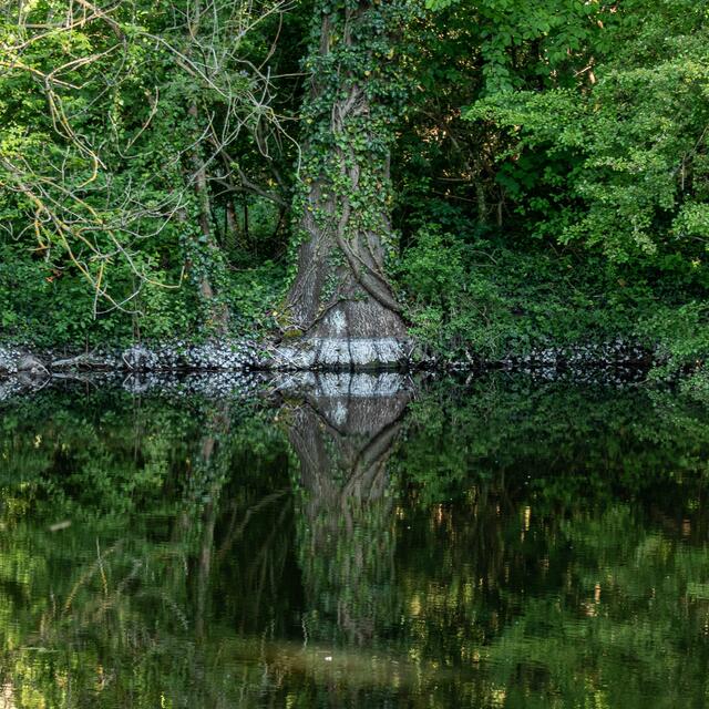 "Vorsicht, das Seemonster beißt wieder zu", hat Heimatreporterin Uschi Pohl ihr Foto untertitelt. | Foto: Uschi Pohl