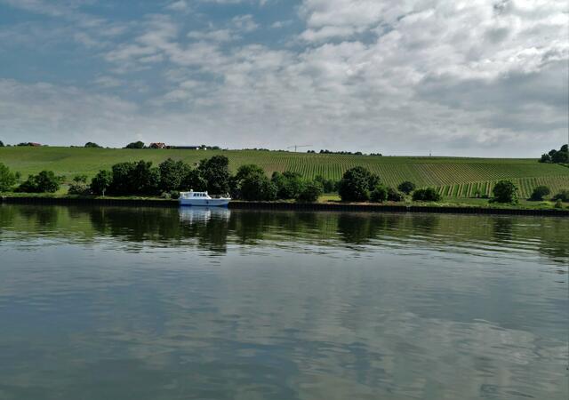 Spiegelung im Neckar