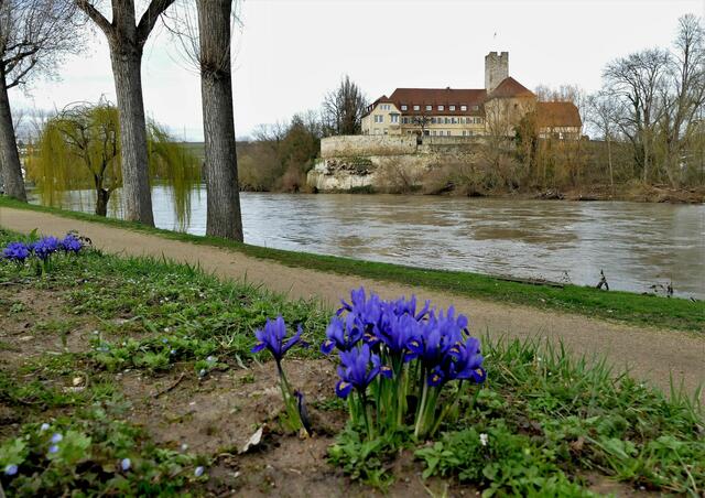 Rathaus im Frühling