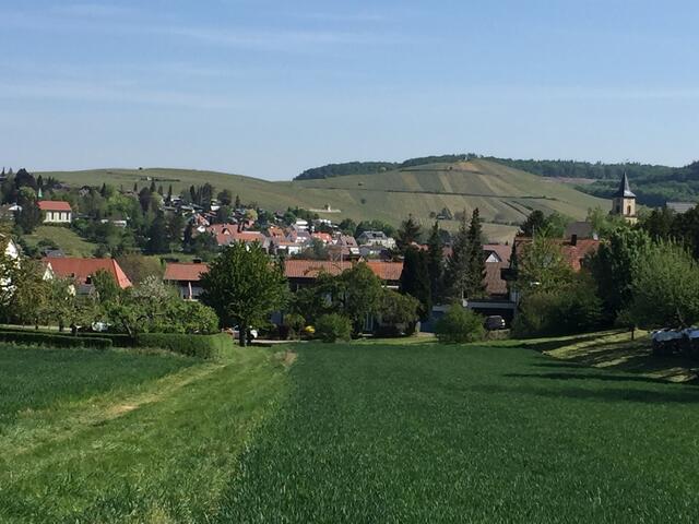 Blick vom Haigern auf Flein; rechts die evangelische Kirche, links die katholische Kirche