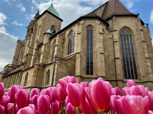 Gott blickt auf eine göttliche Blumenpracht.
