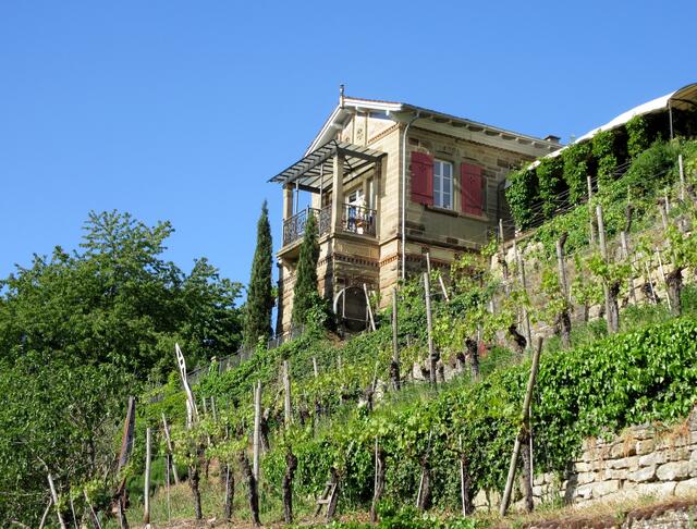 Weinberghaus Nordheim