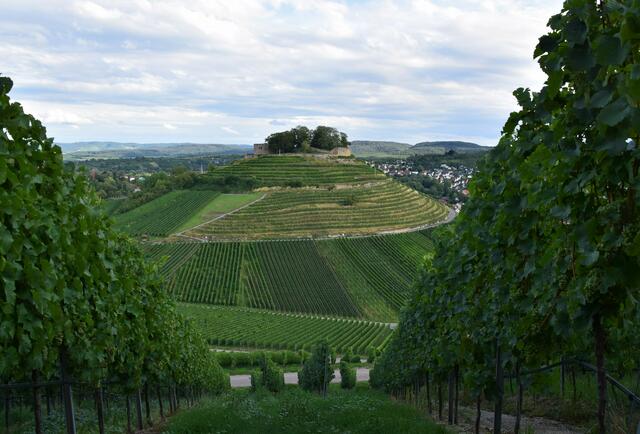 Burgruine Weibertreu