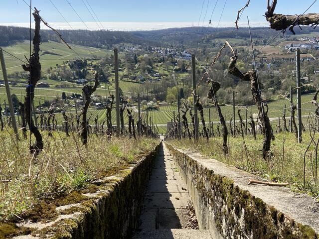 Blick vom Sommerberg nach Erlenbach