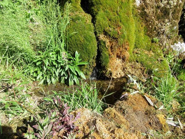 Natur in Nordheim