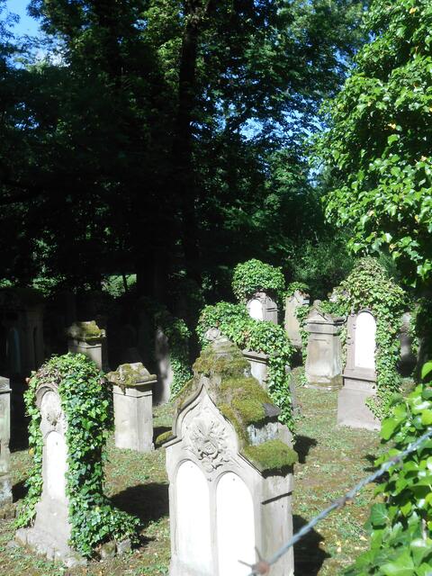 Jüdischer Friedhof Sontheim | Foto: Aurelia Kling