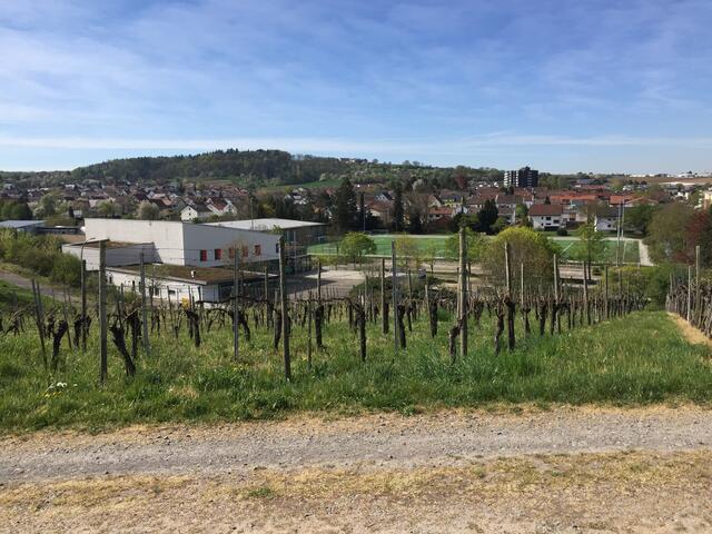 Fleiner Kulturhalle Flina, Sandberghalle, Sportplatz und im Hintergrund Max und Moritz und Haigern