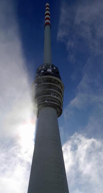 Aufwärts im Gegenlicht - Sendeturm Hornisgrinde