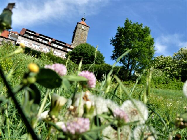 Spaziergang in Waldenburg