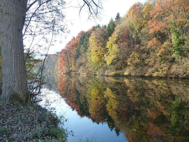 Herbststimmung am Kocher bei Kocherstetten