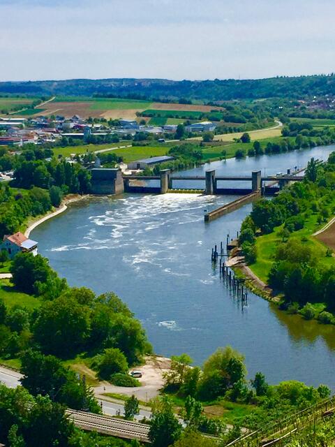 Blick auf den Neckar von Gundelsheim